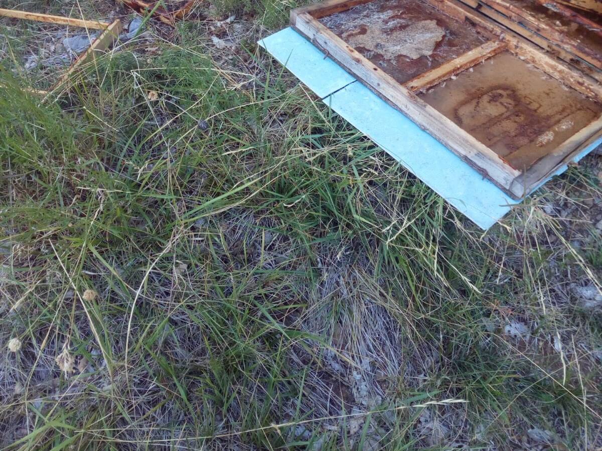 Otro colmenar dañado en Ribagorza por el ataque de un oso