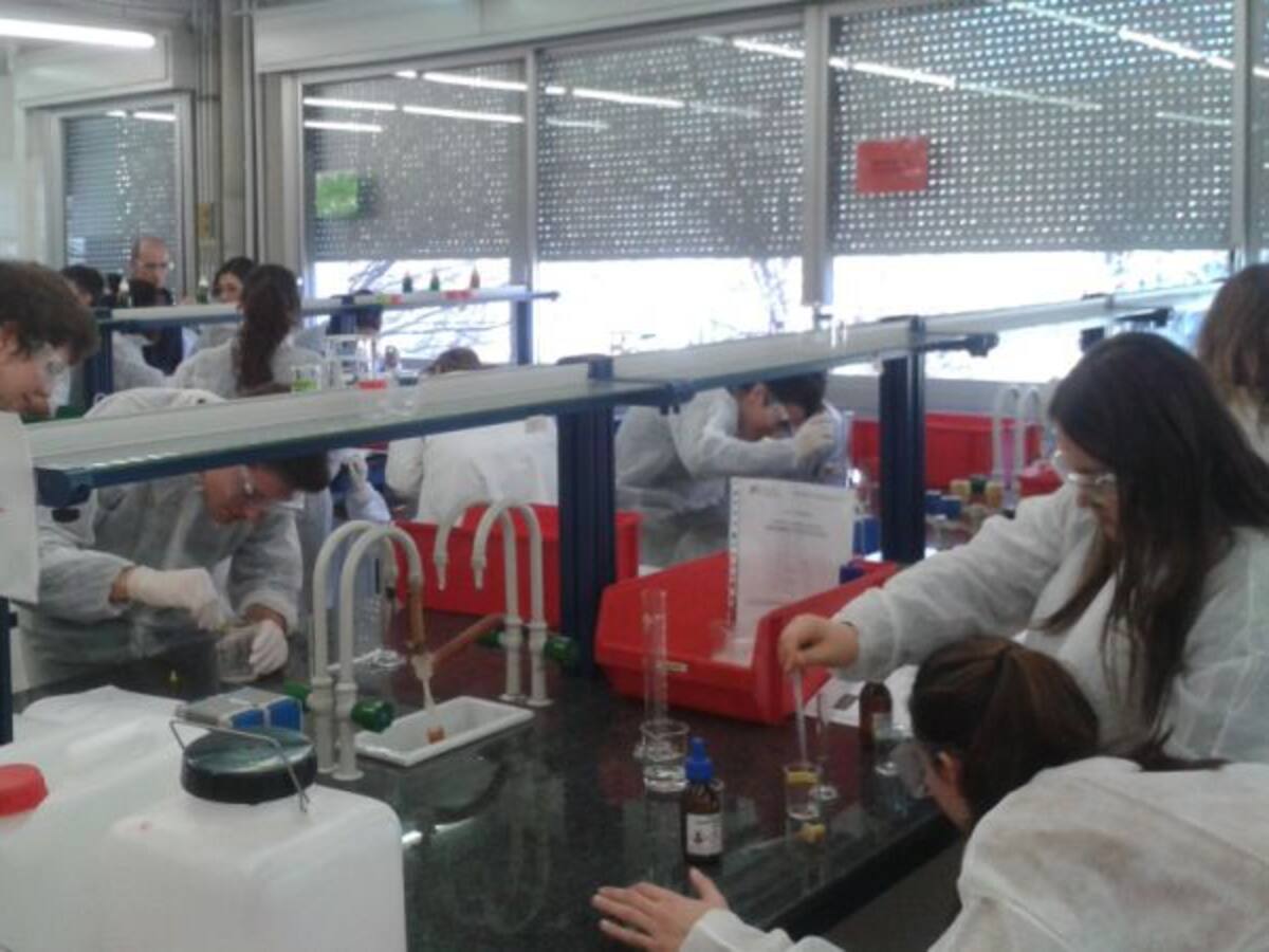 Veritats i mentides químiques