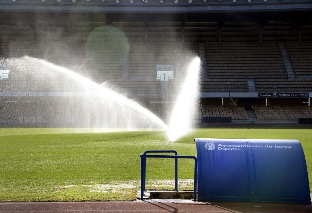 Chapín en una imagen de archivo