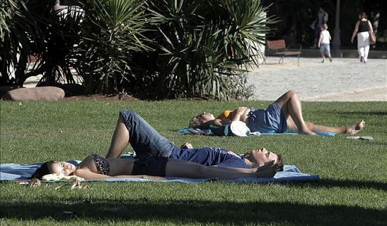 Varias jóvenes toman el sol en un parque.