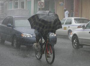 Efectos del Félix a su paso por La Ceiba (Honduras).
