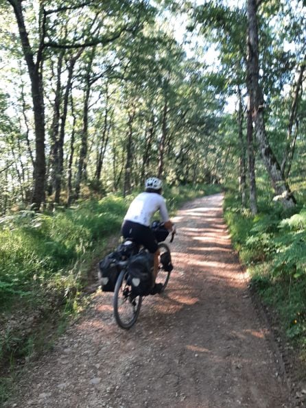 En plena ruta del Camino de Santiago