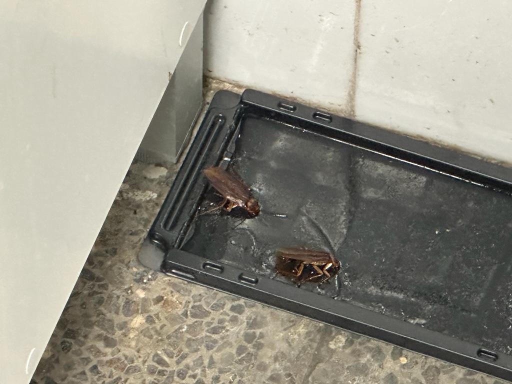 Aspecto de las instalaciones