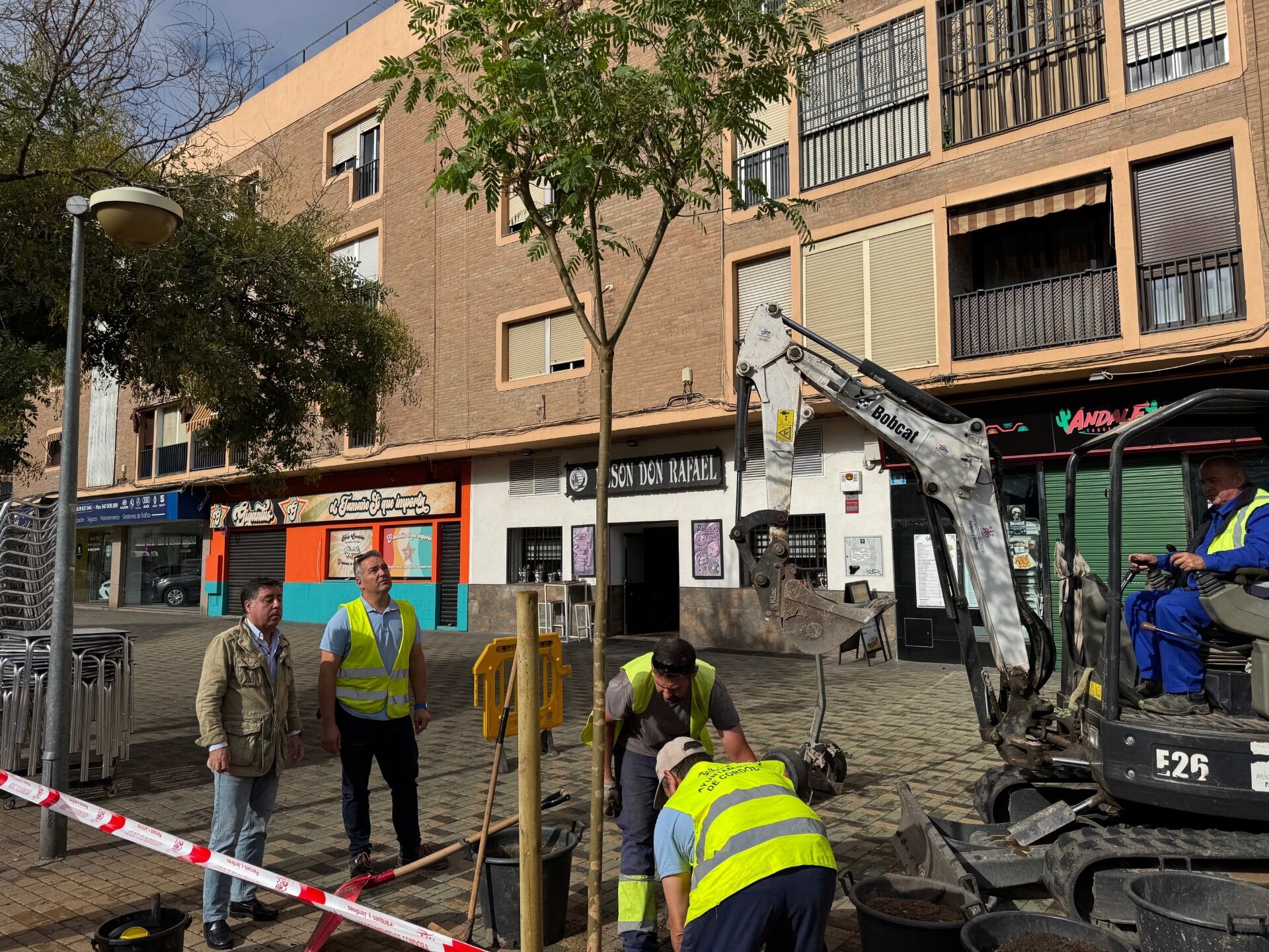 Ya ha comenzado el plan de arbolado de este año en Córdoba