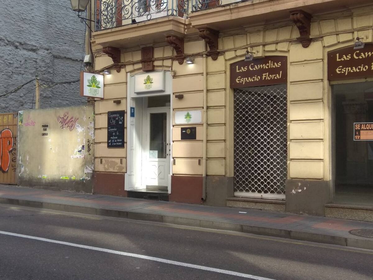 El Ayuntamiento asegura que la terraza de "El Botánico" no tiene autorización