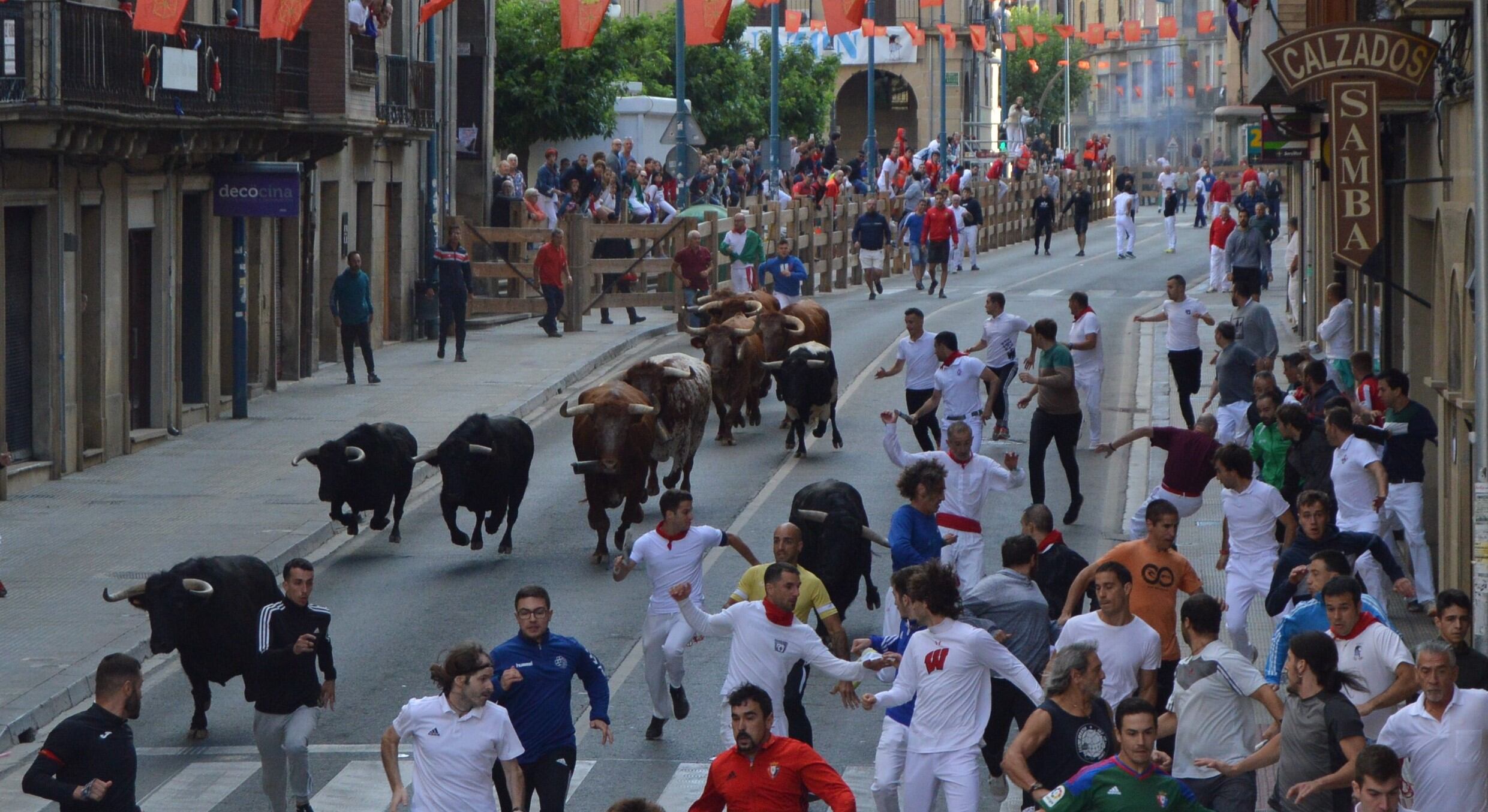 Los astados de Toropasión han corrido muy sueltos