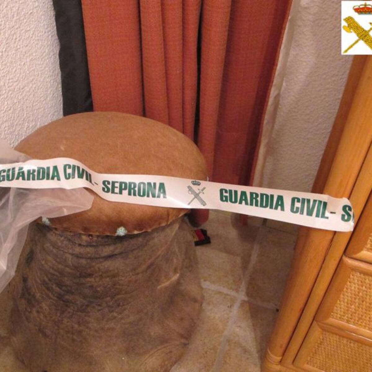 La Guardia Civil interviene una pata de elefante que se usaba como taburete