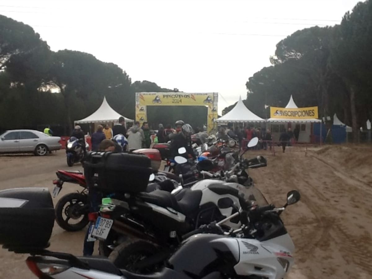 Arranca con optimismo la última concentración de Pingüinos en Puente Duero