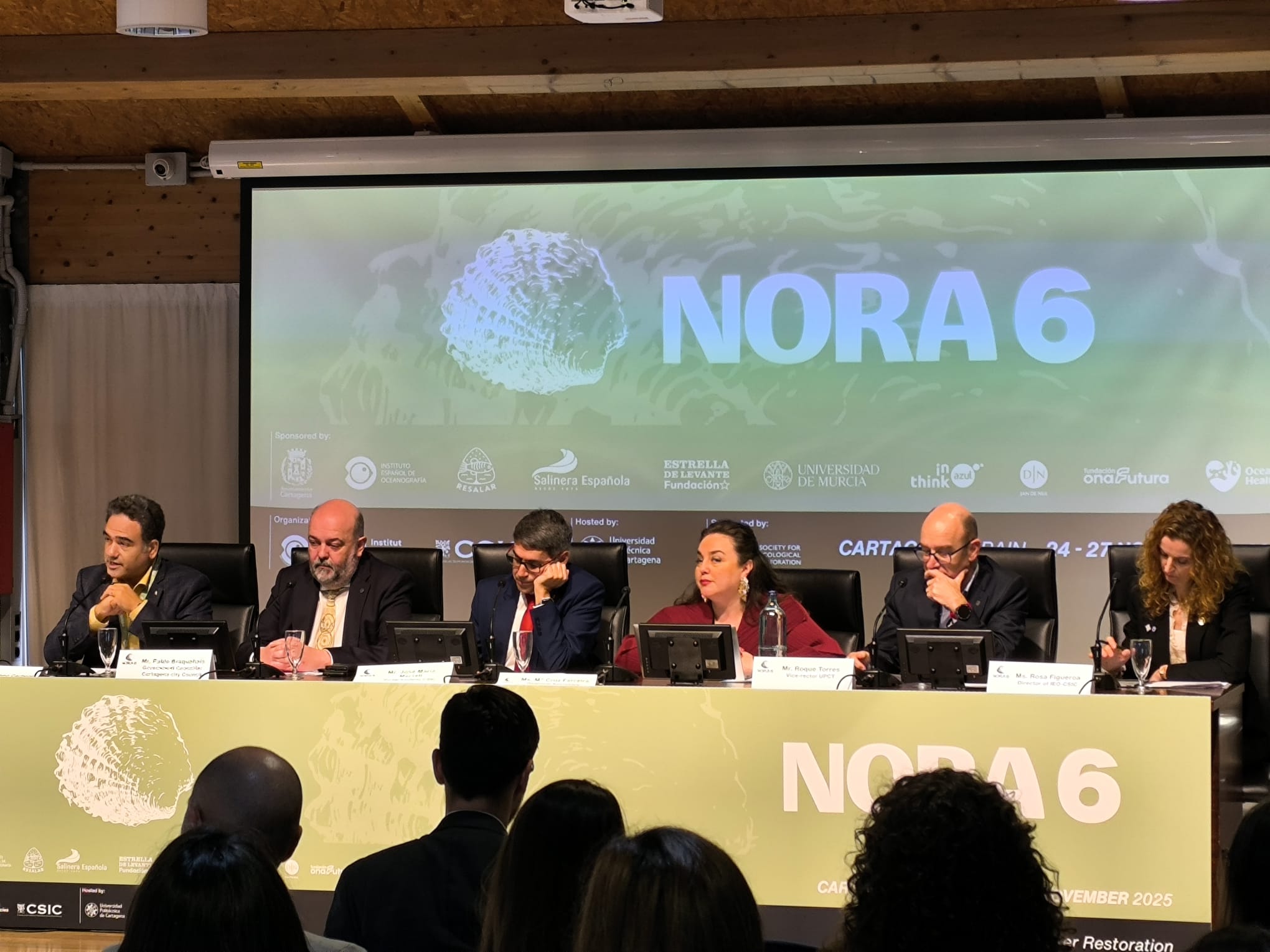 Del laboratorio al mar: el plan para salvar las ostras del Mar Menor