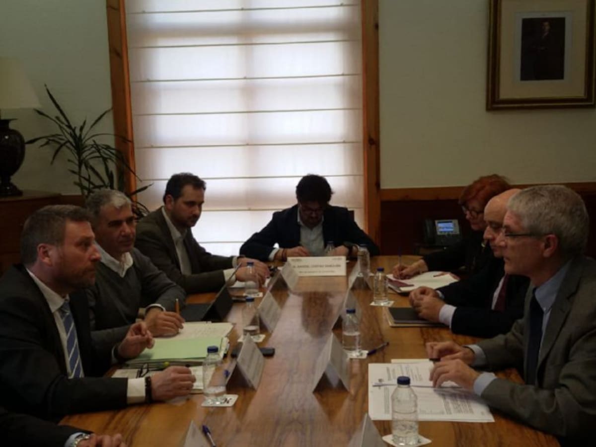 Los trenes sustitutos de los 'tamagochis' llegarán en 2021