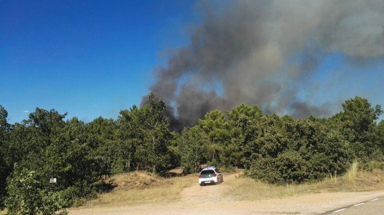 Incendio en la zona de Fuentepinilla.