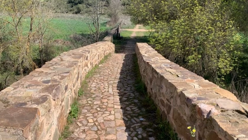 Puente de las ovejas ( Corral de Calatrava )