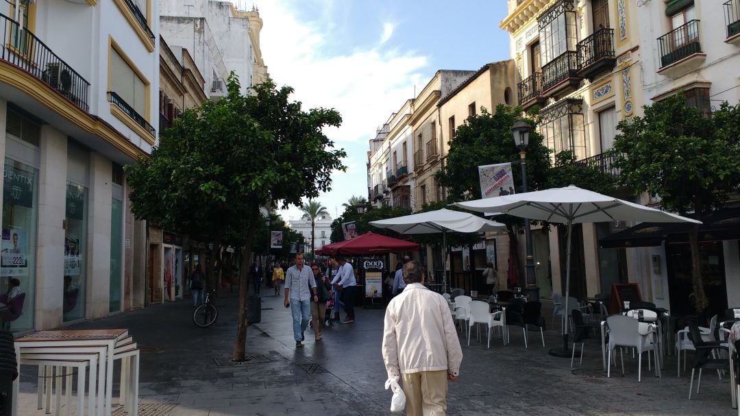 Las cámaras se ubicarán en las calles más céntricas