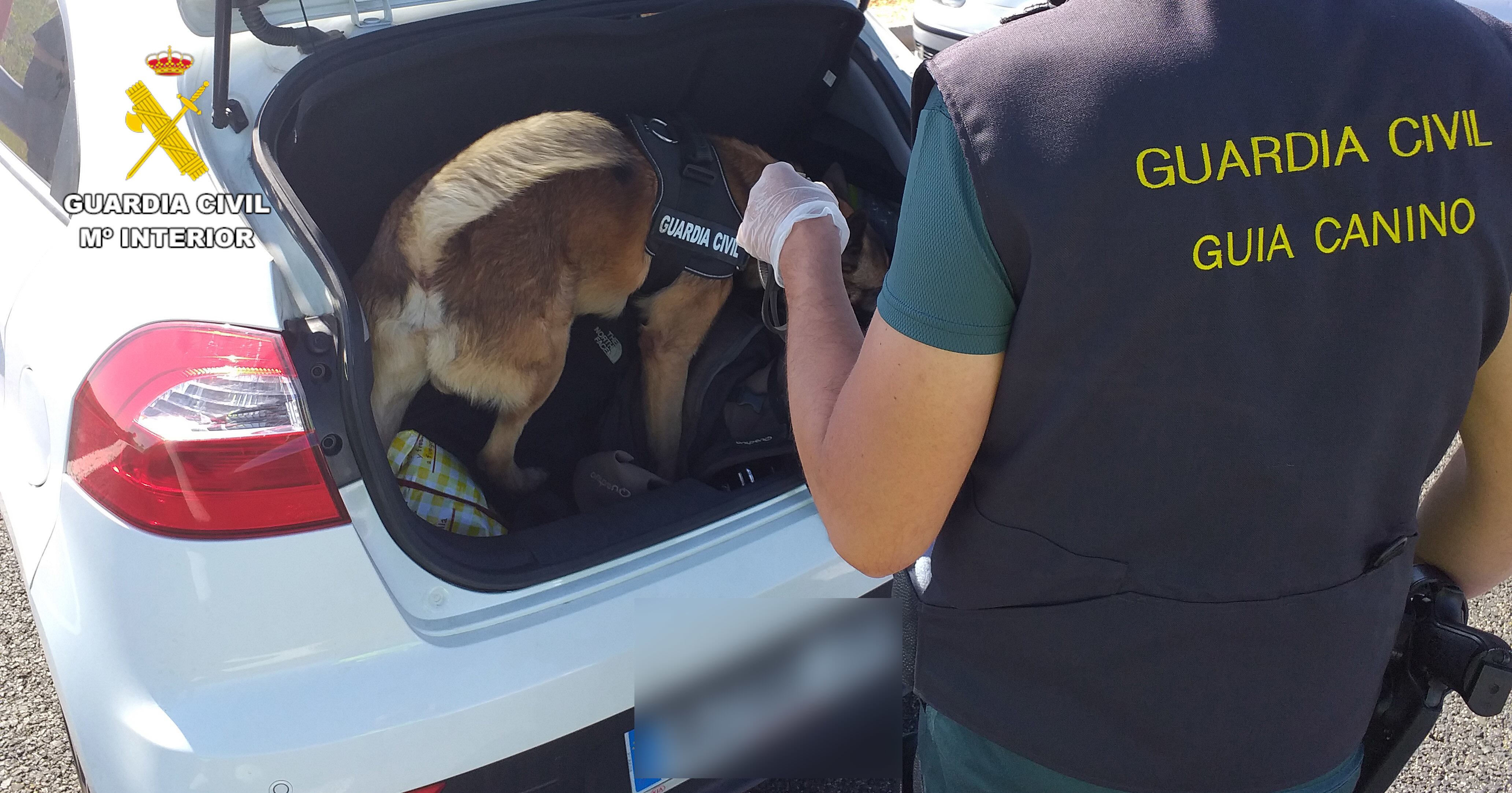 Inspección de la Guardia Civil