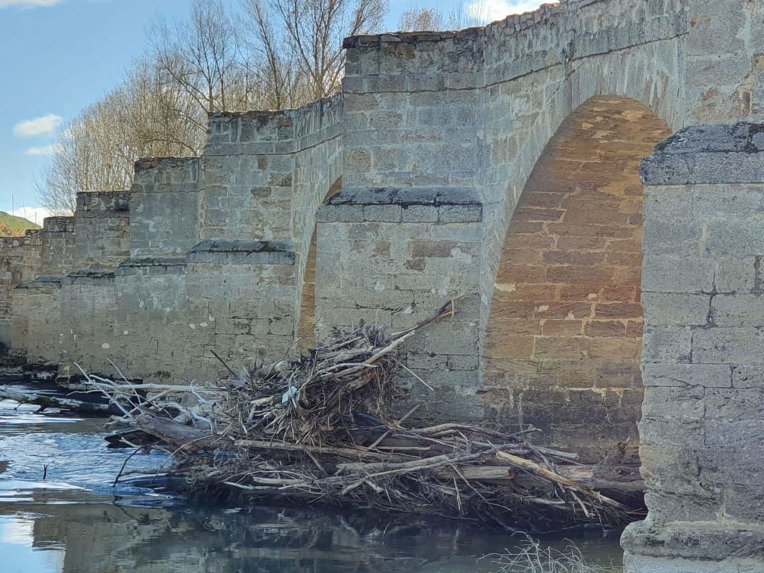 Puente sobre el río Esla en la localidad de Castrogonzalo