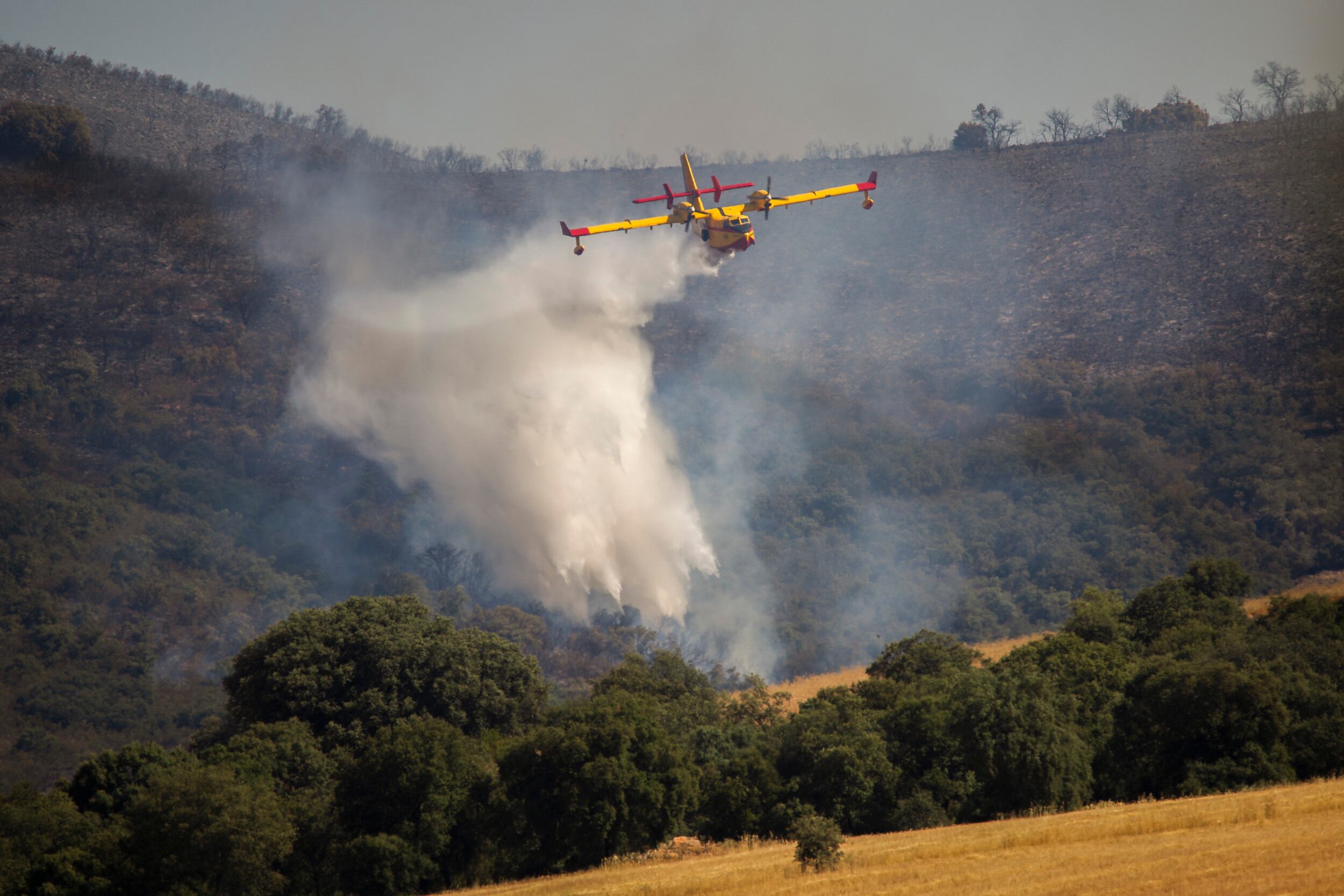 MALAGÓN (CIUDAD REAL), 26/07/2022.- Un hidroavión colabora en las labores de extinción del incendio declarado en la aldea de Valdehierro, Malagón, Ciudad Real, este martes. EFE/ Jesús Monroy
