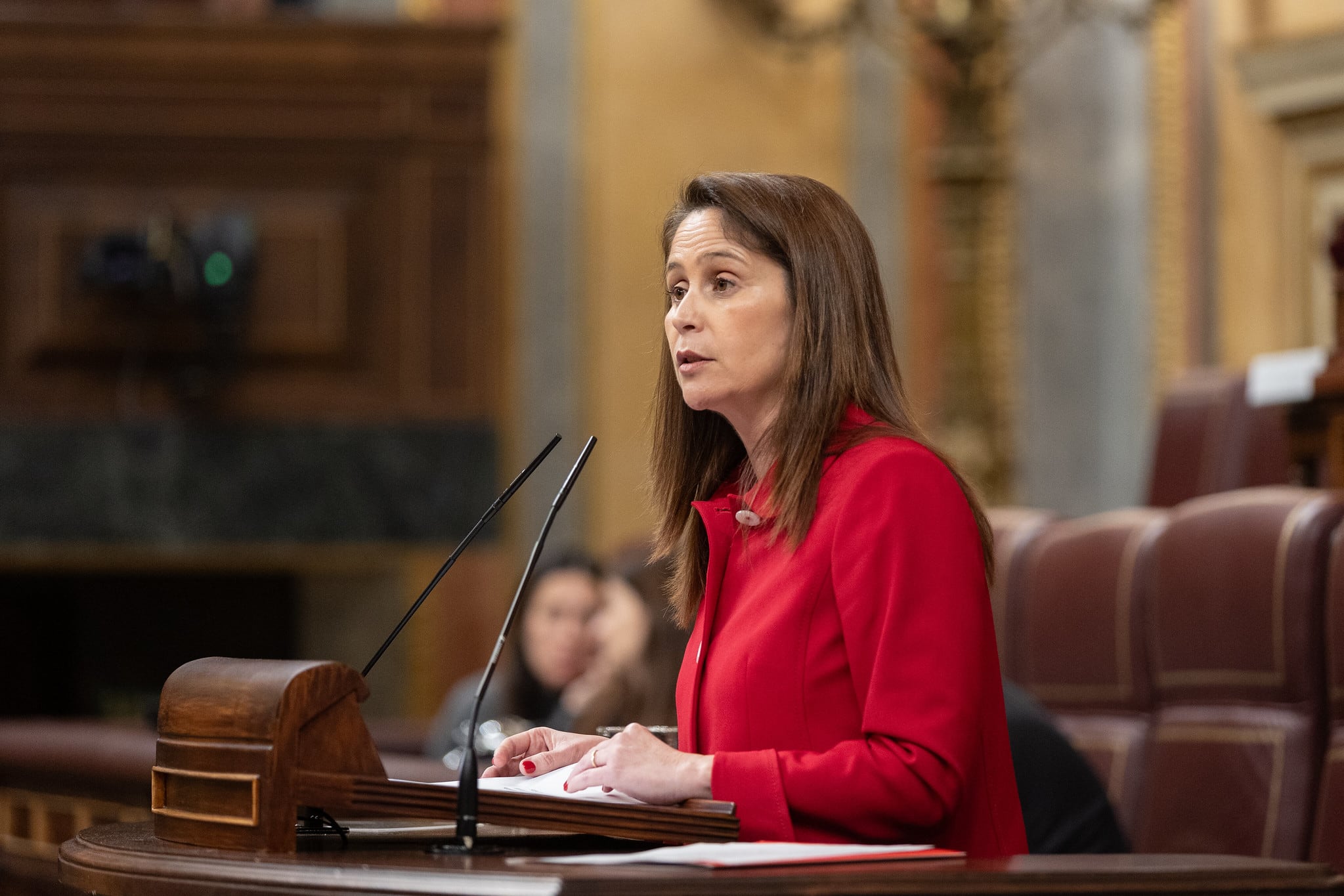 La diputada Milena Herrera