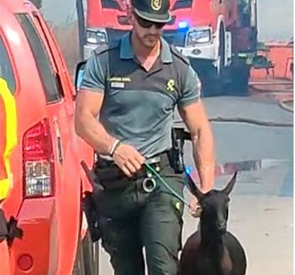 Un Guardia Civil rescata a una cabra de las llamas en un incendio en Oliva.