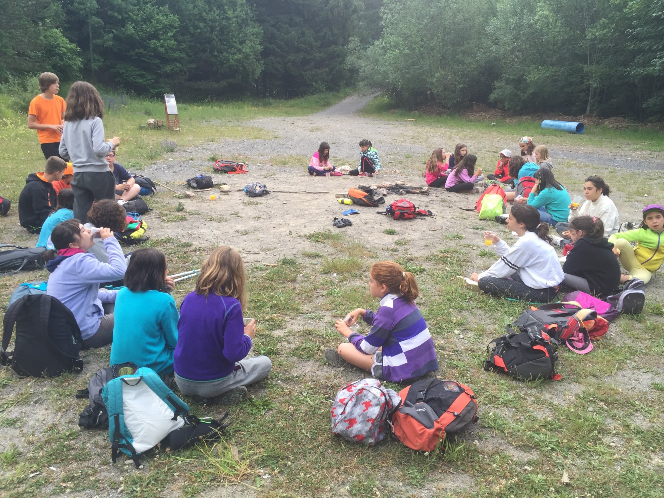 Campamentos de verano