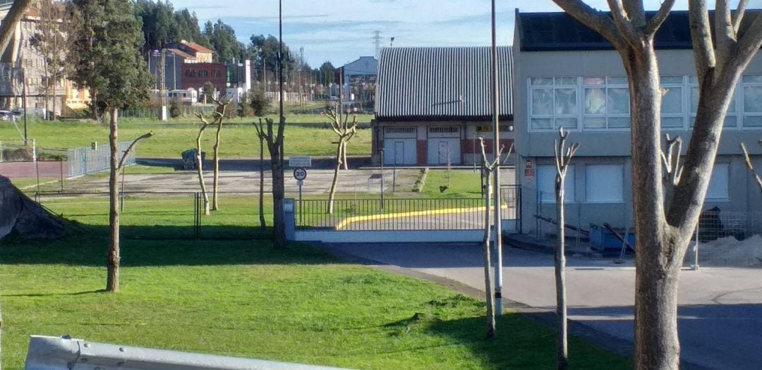 Árboles del entorno del IES Augusto González de Linares, al sur del barrio de Peñacastillo.