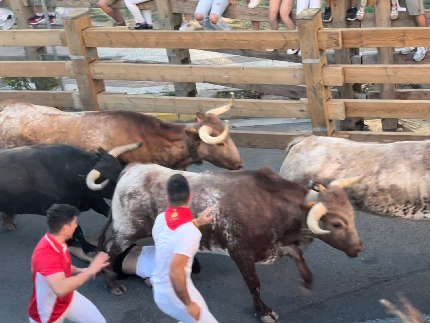 Segundo encierro de las fiestas de Tudela