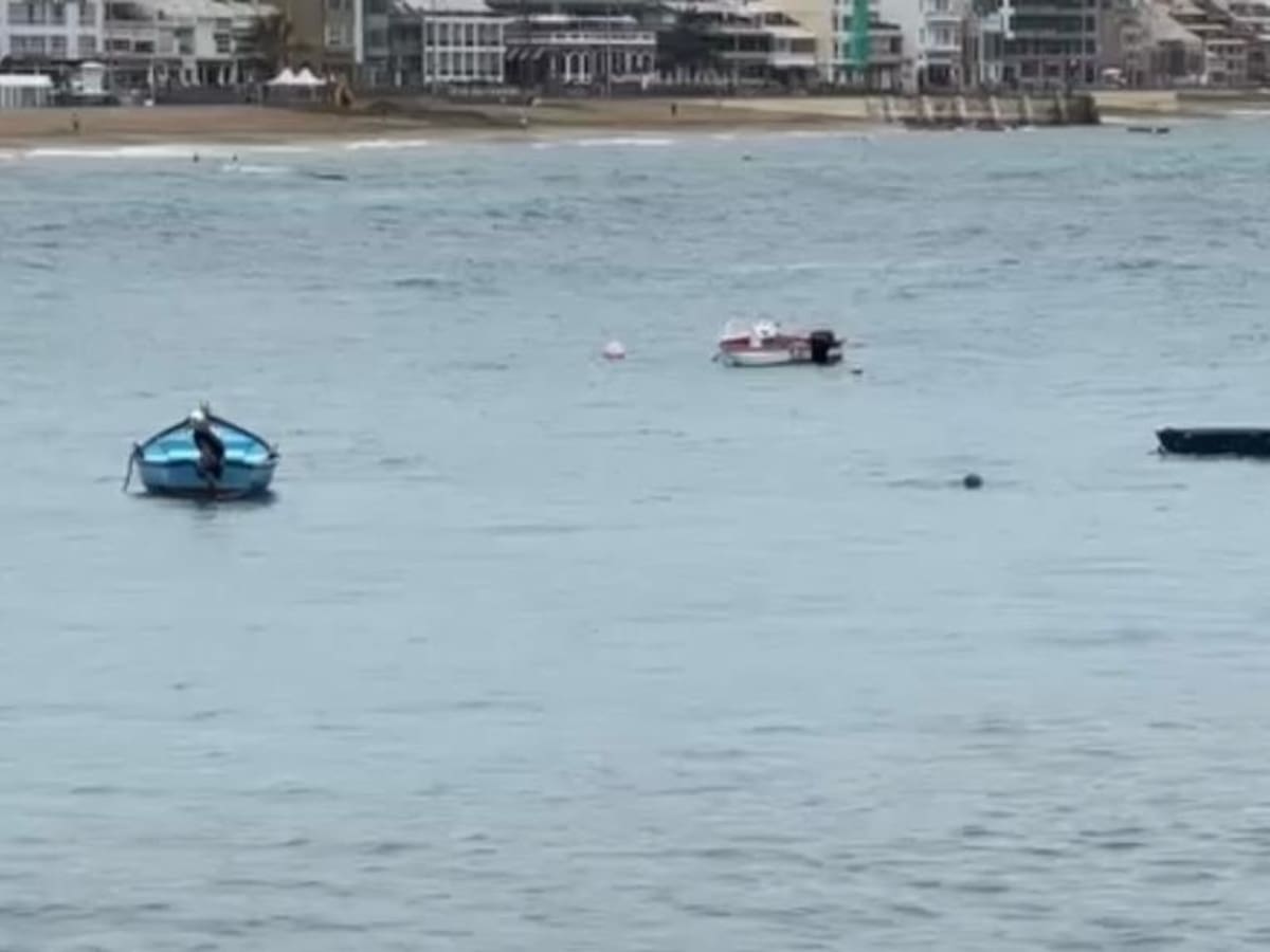 ¿Una sirena en Las Canteras?