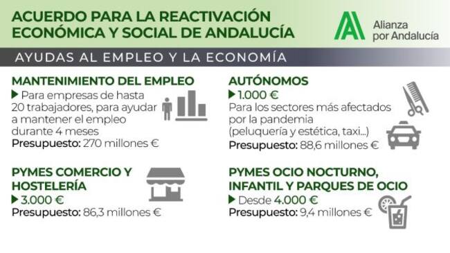 Pla de ayudas directas de la Junta