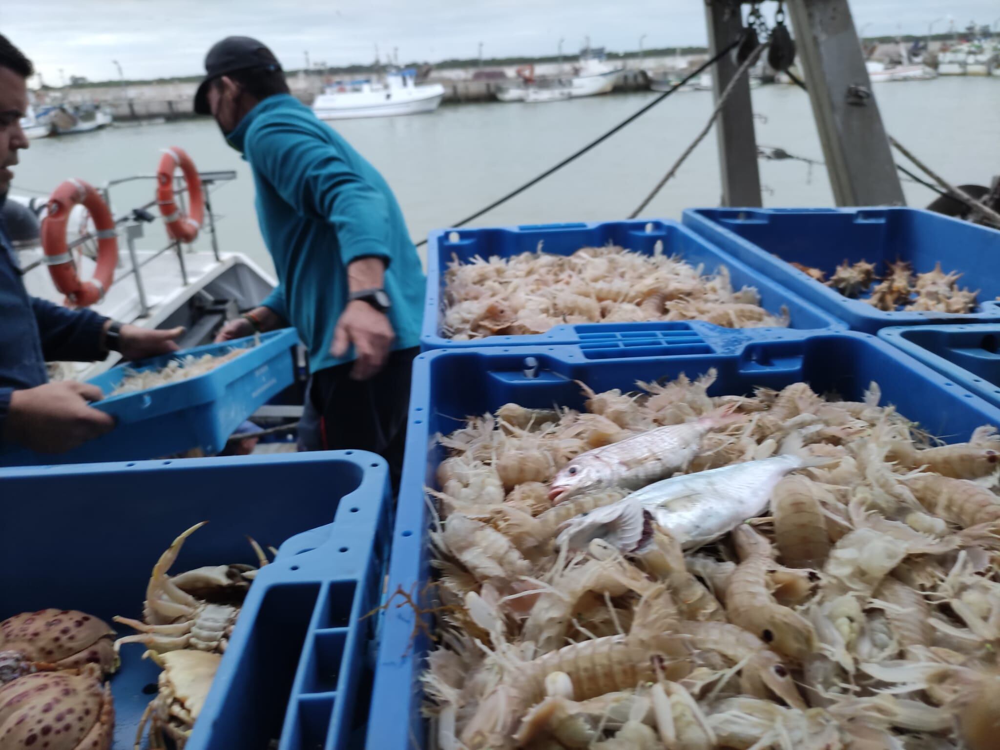 Pescadores en el Puerto de Bonanza, en Sanlúcar