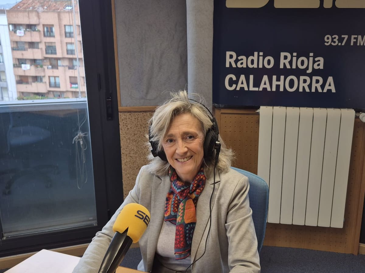 Arceiz sobre la polémica normativa de patinetes: "No se va a multar a los que no lo tengan asegurado porque estamos estudiando la postura de la DGT"