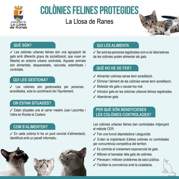 Gestión de colonias felinas en La Llosa de Ranes