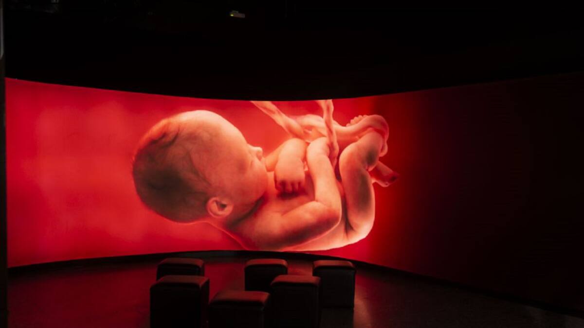 Entrevista con Jordi Portabella, director de CosmoCaixa de la Fundación La Caixa