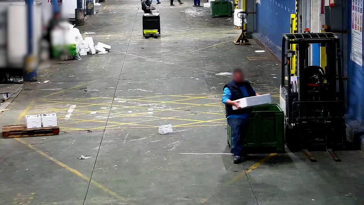 Detenido por vender pescado en mal estado a restaurantes de Madrid, Fuenlabrada, Leganés y Humanes