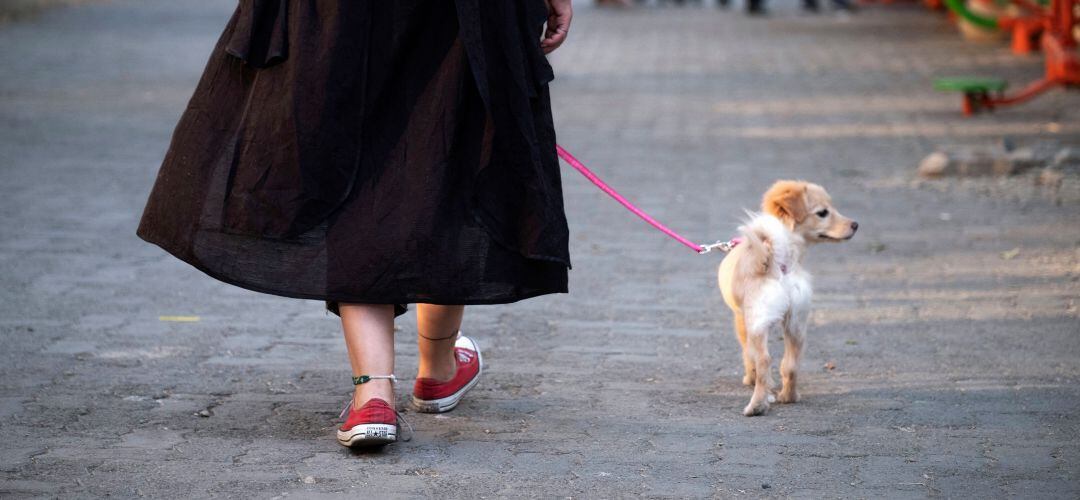 Una mujer paseando un perro