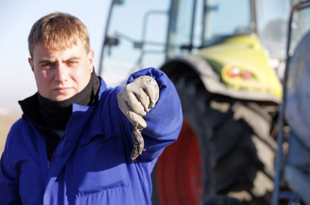 Un agricultor muestra un 'topillo'