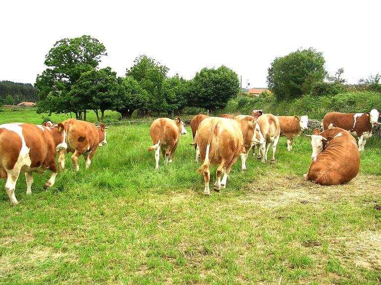 La Xunta anuncia 20 millones de euros para el medio rural