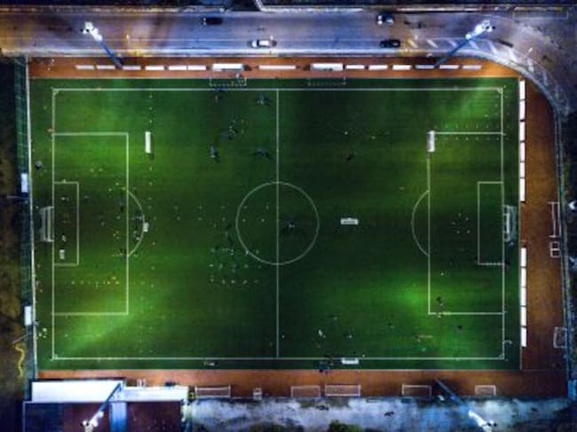Campo de fútbol profesional