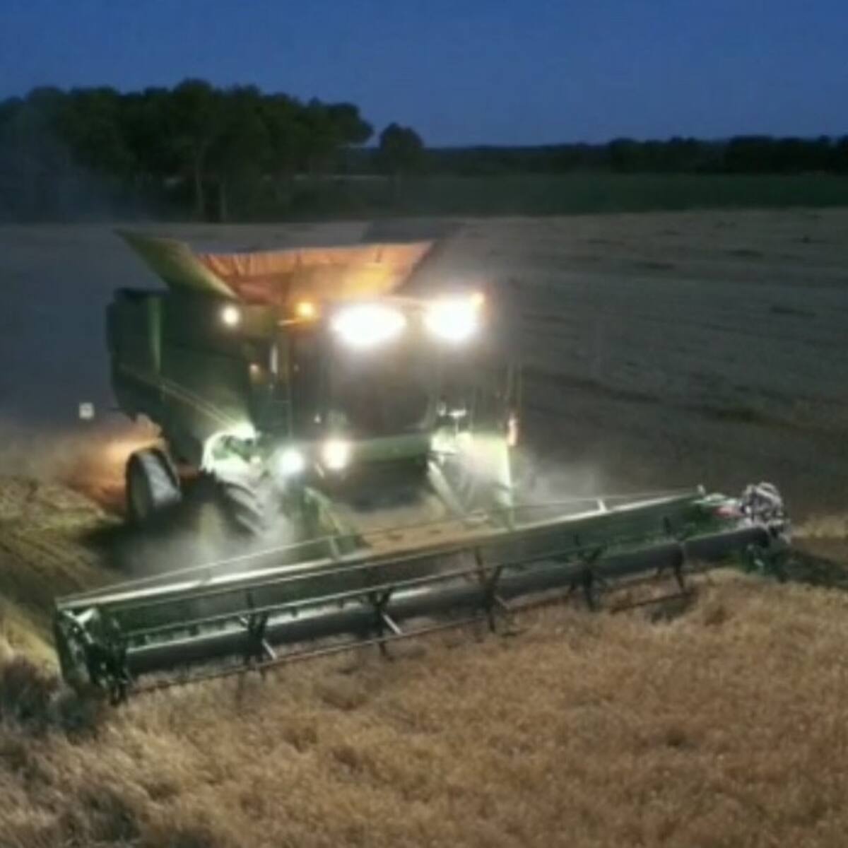 Las lluvias de los últimos días afectan al ritmo de la cosecha y al peso específico del grano