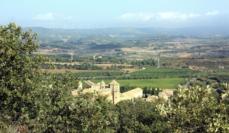 Boscos de Poblet. 