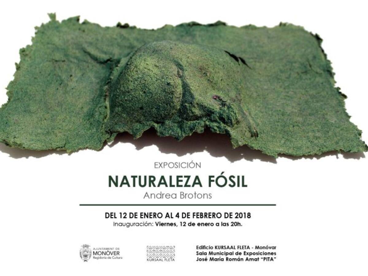 Monóvar acoge una exposición de grabados hechos con pasta de papel