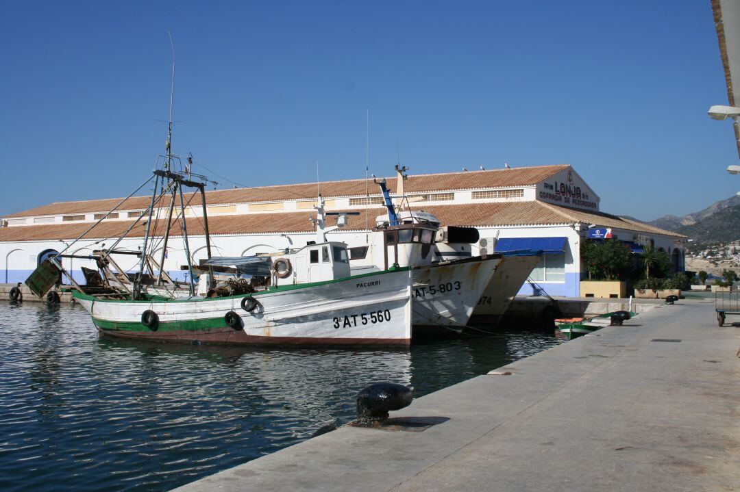 Puerto pesquero de Calp. Imagen de archivo