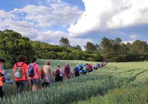 Paseos saludables de la AECC en Tudela