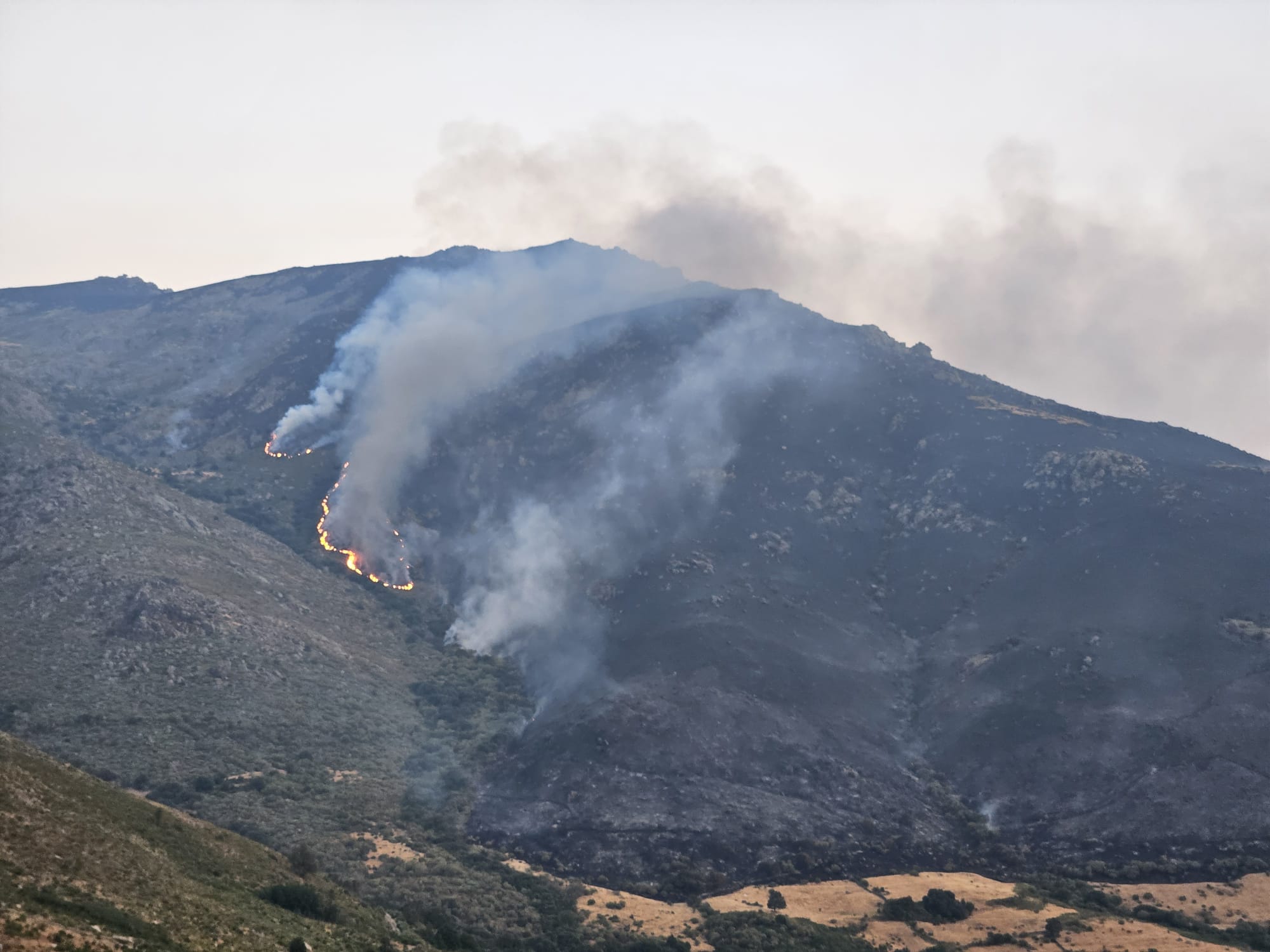 Parte de la Sierra de Béjar en la zona de Candelario que ha ardido/Cadena SER