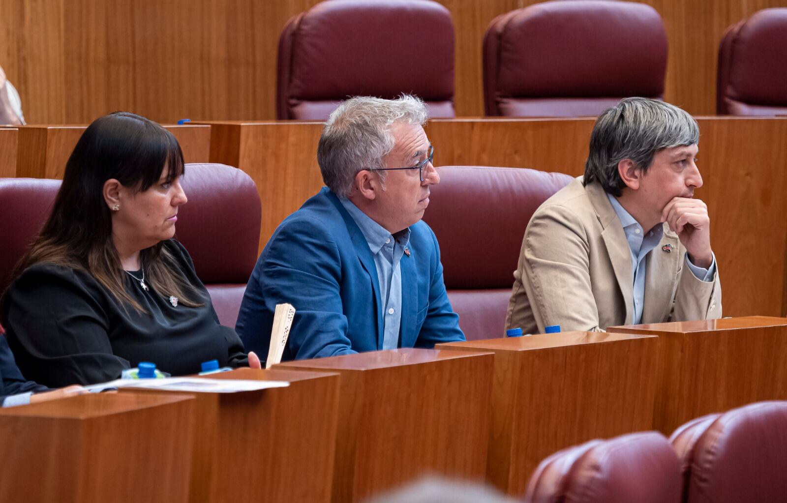 Procuradores de Soria ¡Ya! en Cortes