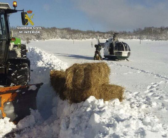 La Guardia Civil lleva comida con un helicóptero a unos caballos que están aislados por la nieve en Valderredible (Cantabria).