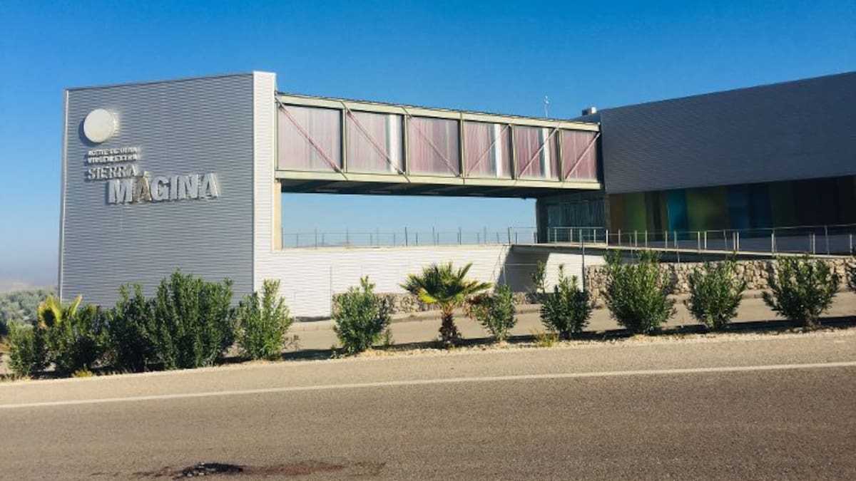 El Consejo Regulador de la D.O. Sierra Mágina celebrará el sábado su primera Jornada de Puertas Abiertas