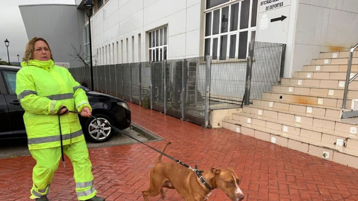 Traslado de animales de la Perrera de Los Barrios por inundaciones