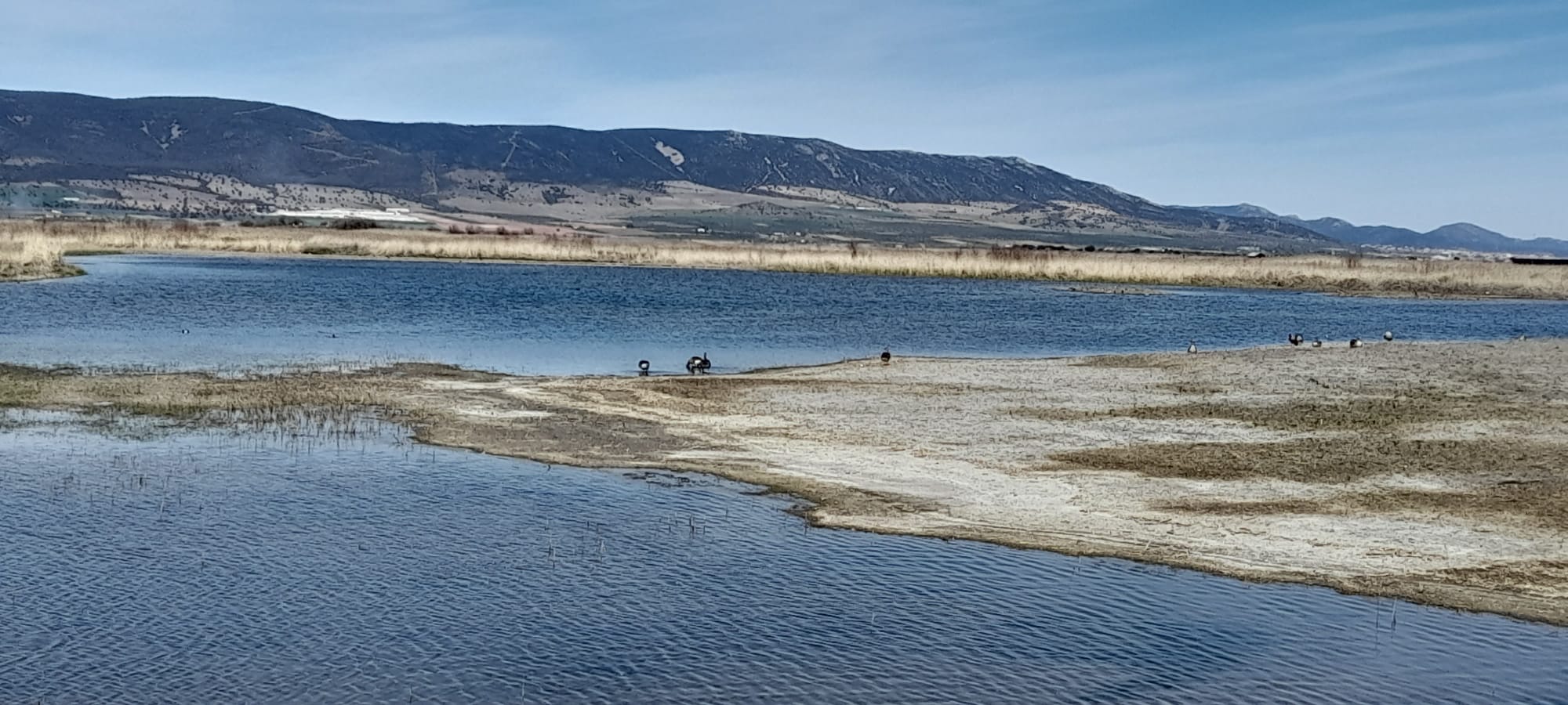 Lámina de agua en el parque nacional de las Tablas de Daimiel, en marzo