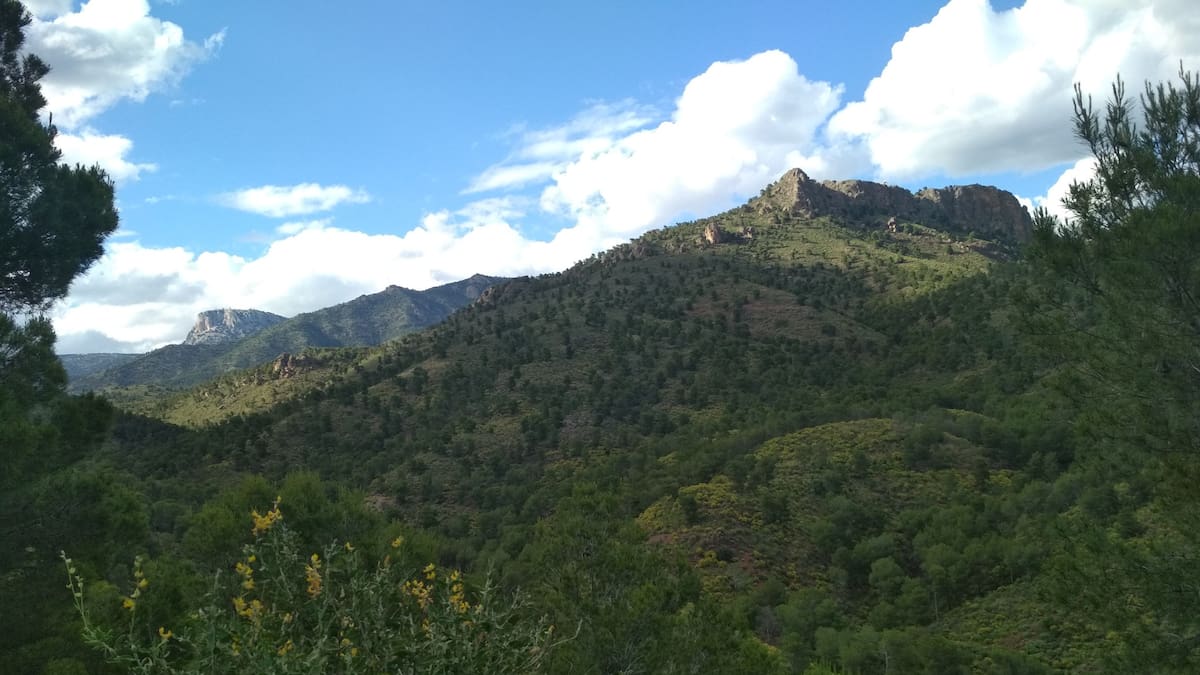 PP y Vox aprueban modificar los límites de Sierra Espuña para blindar las romerías de La Santa y el Rally de Totana