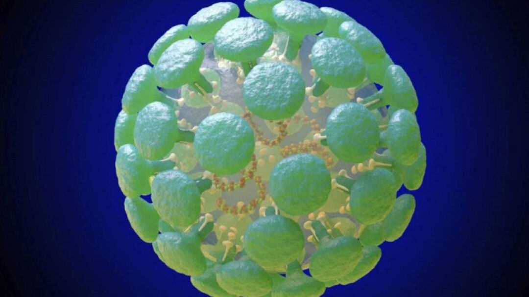Imagen representativa del coronavirus