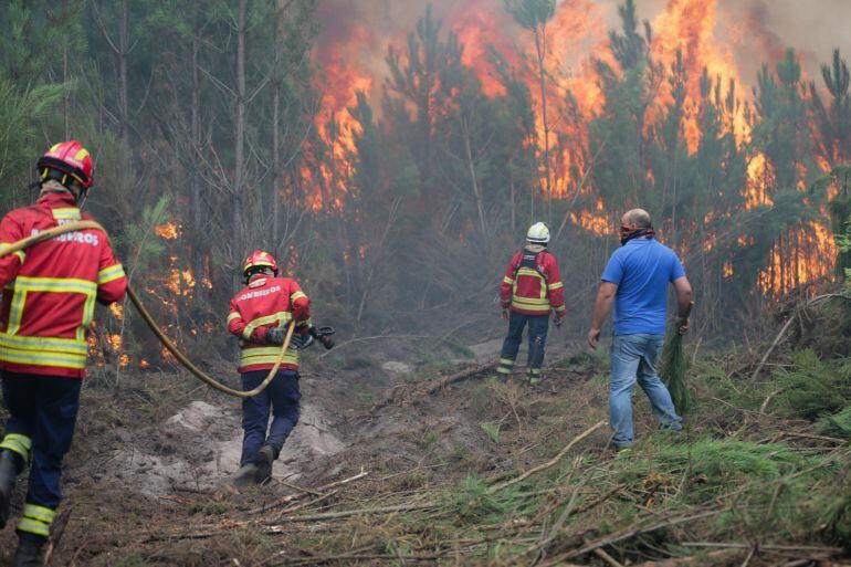 Efectivos de bomberos se disponen a sofocar las llamas en un incendio forestal.